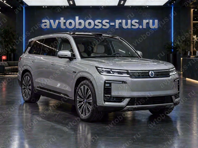 BYD Denza N9